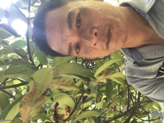 Phúc Nguyễn