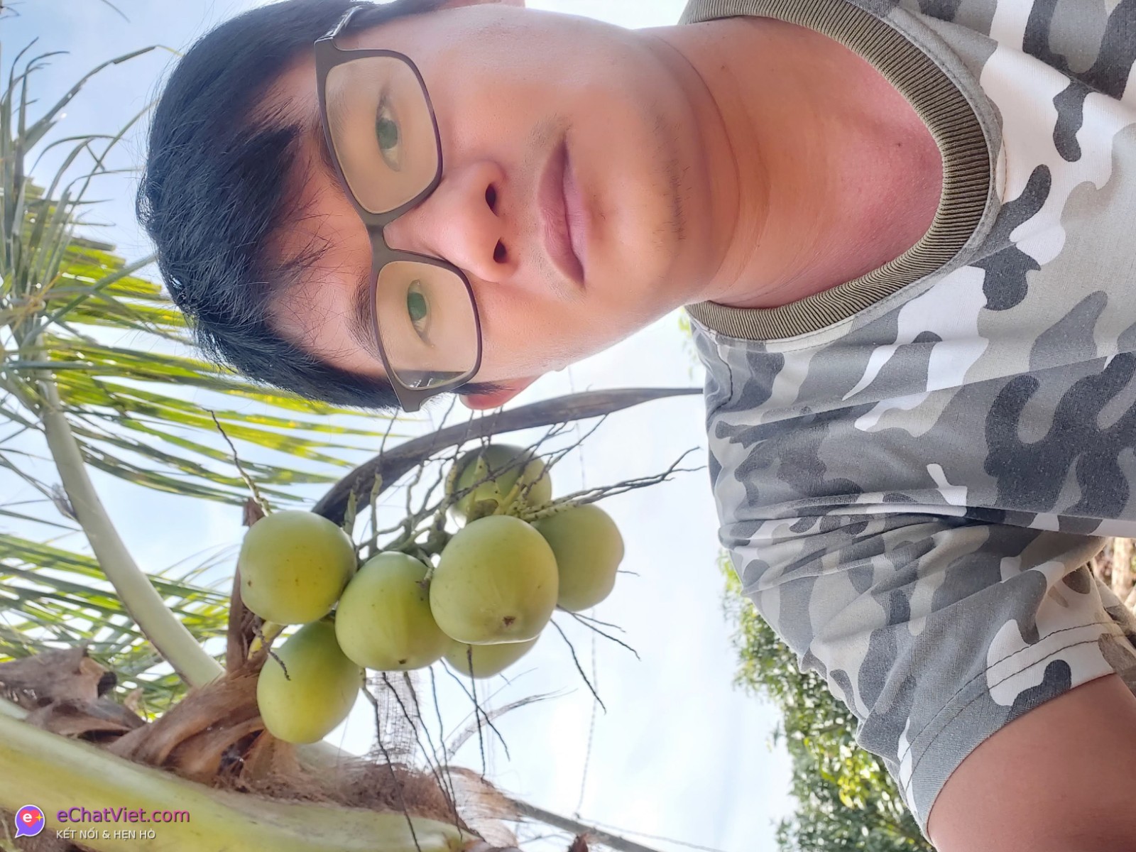 Ảnh 1