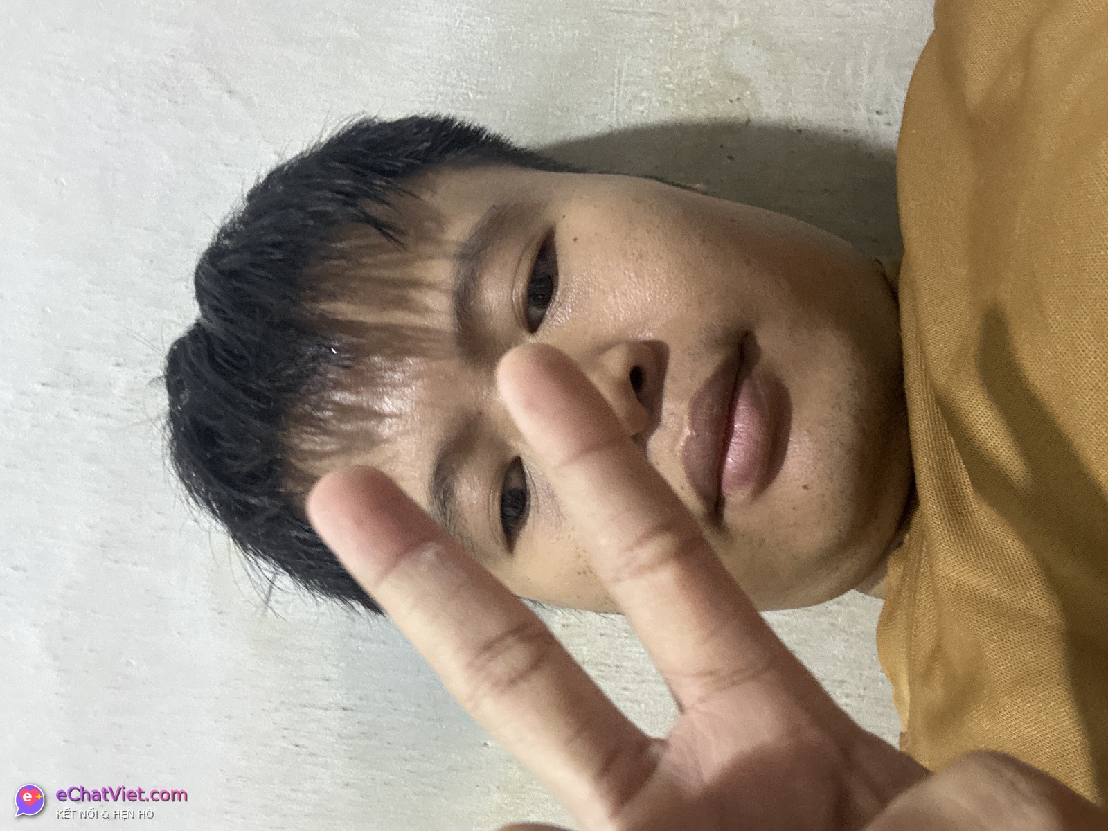 Ảnh 5