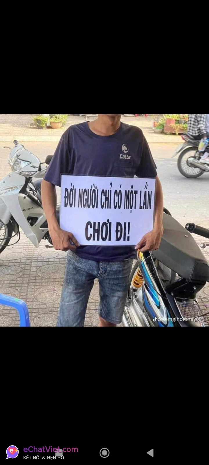 Ảnh 6