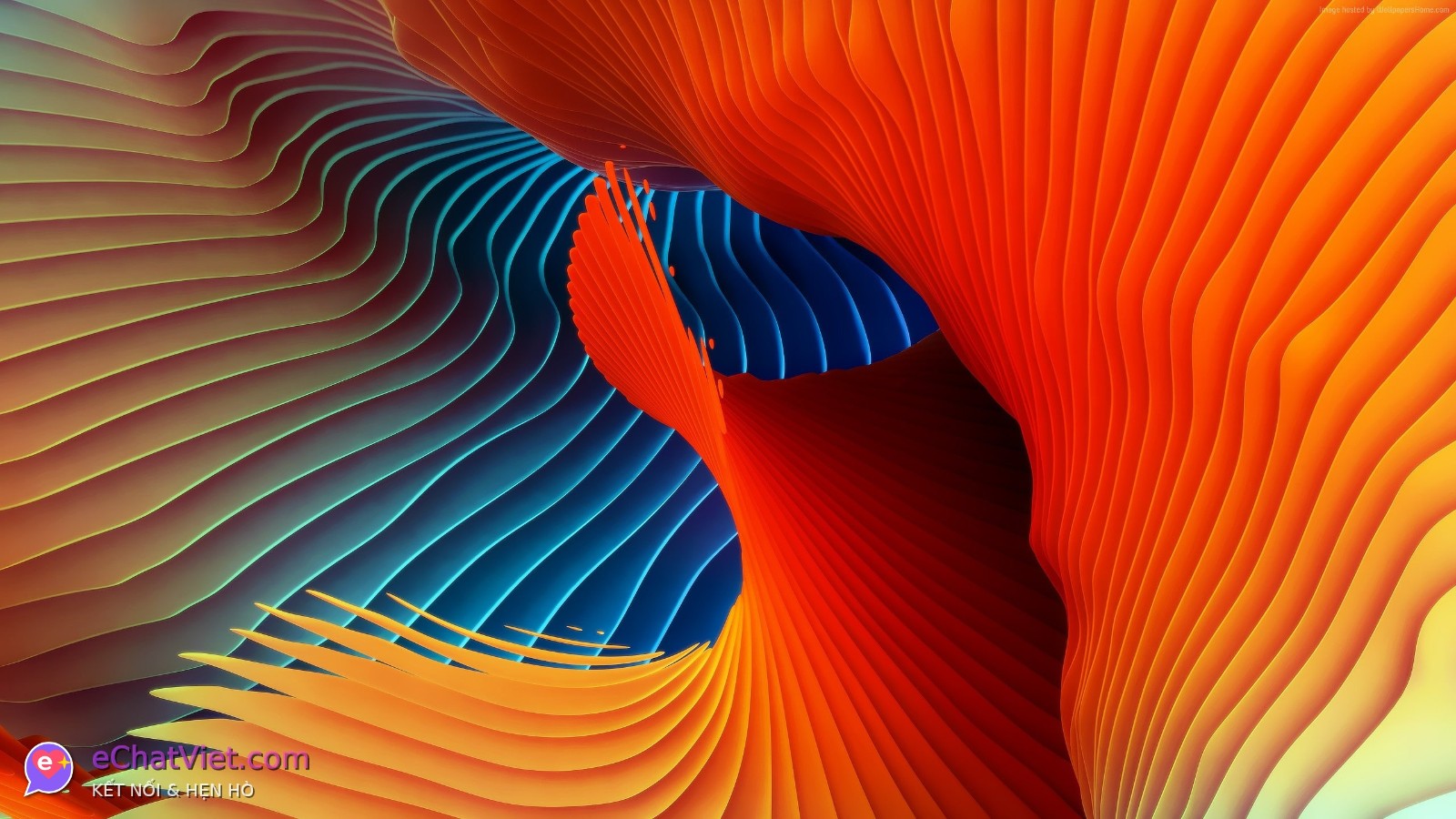 Ảnh 3