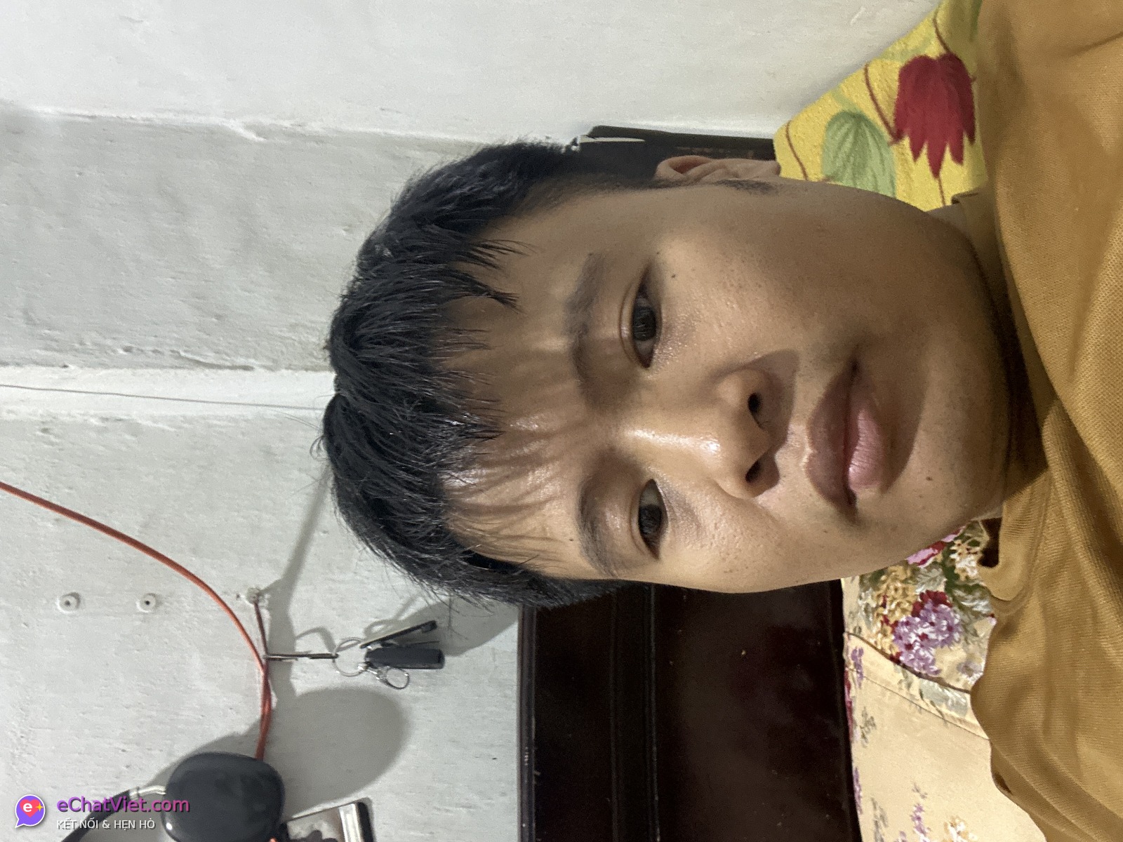 Ảnh 4