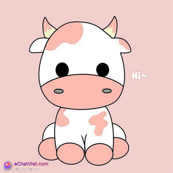 Ảnh 5