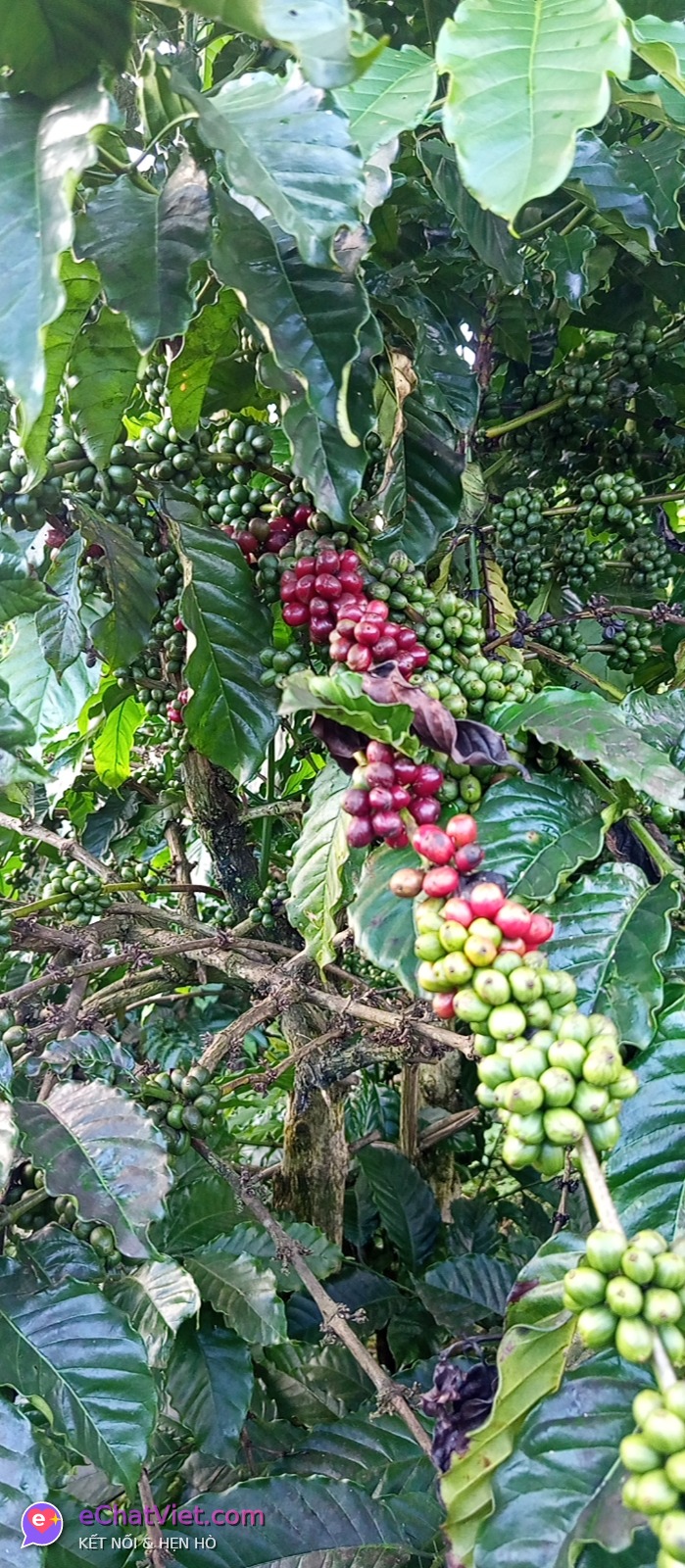 Ảnh 3