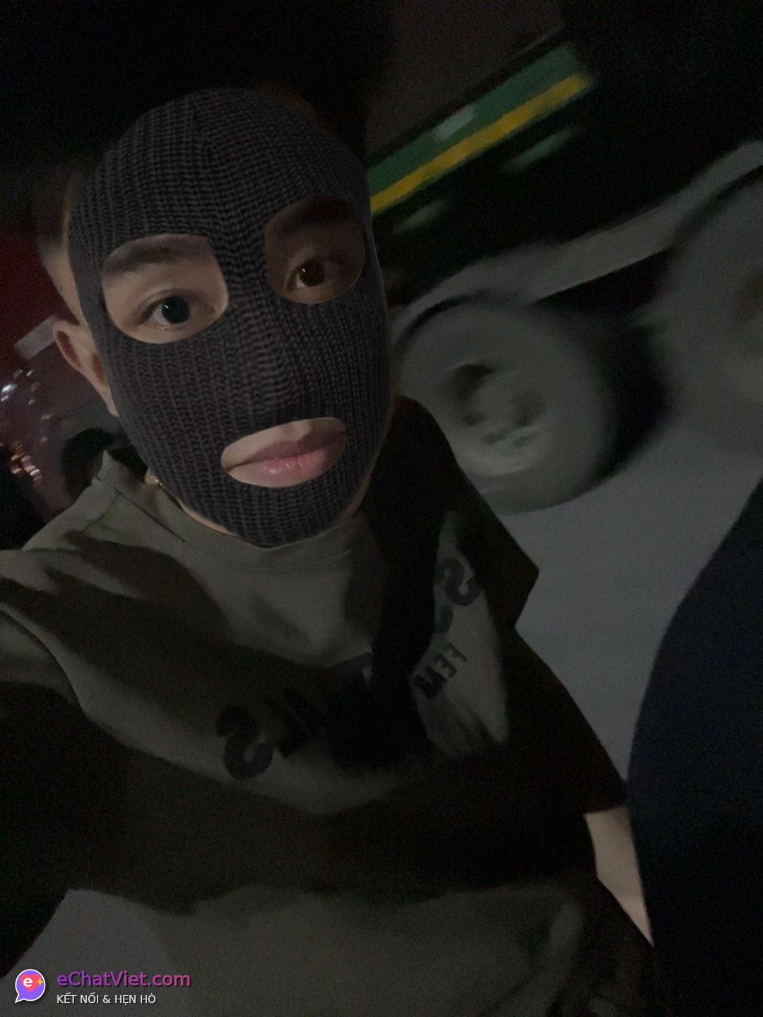 Ảnh 5
