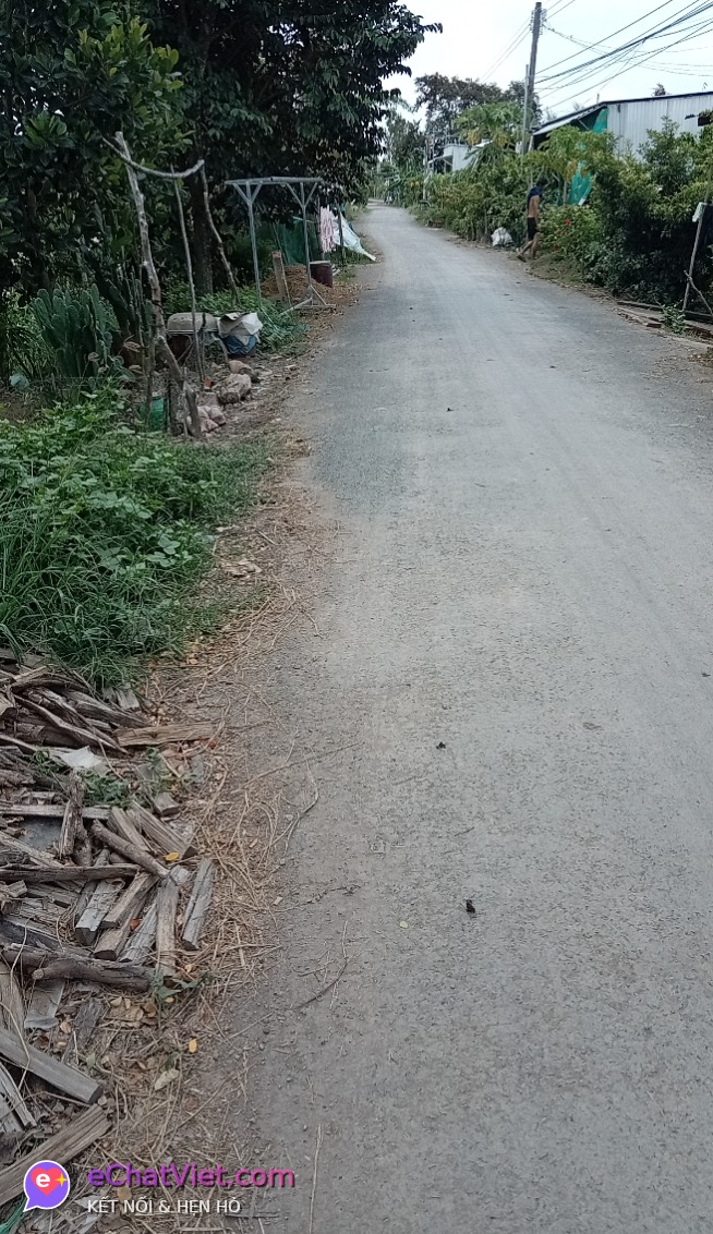 Ảnh 2