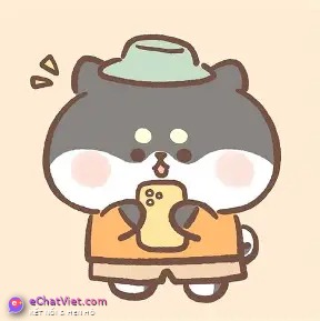 Ảnh 5