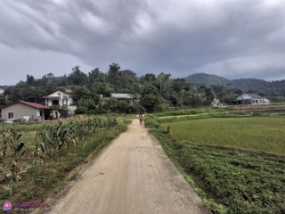 Tran van luan