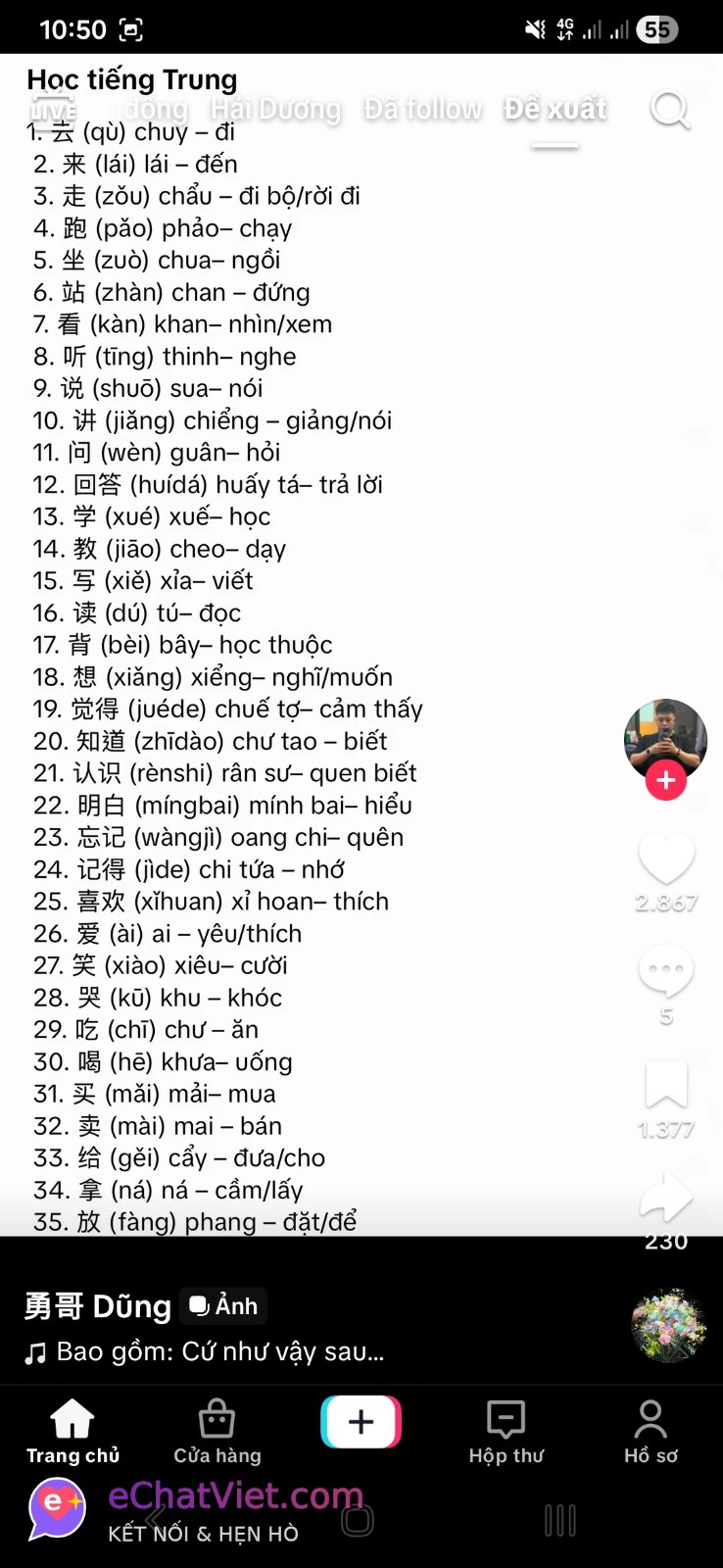 Ảnh 3