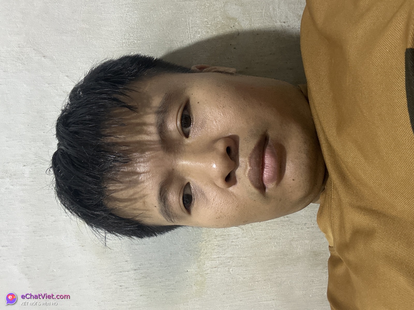 Ảnh 6